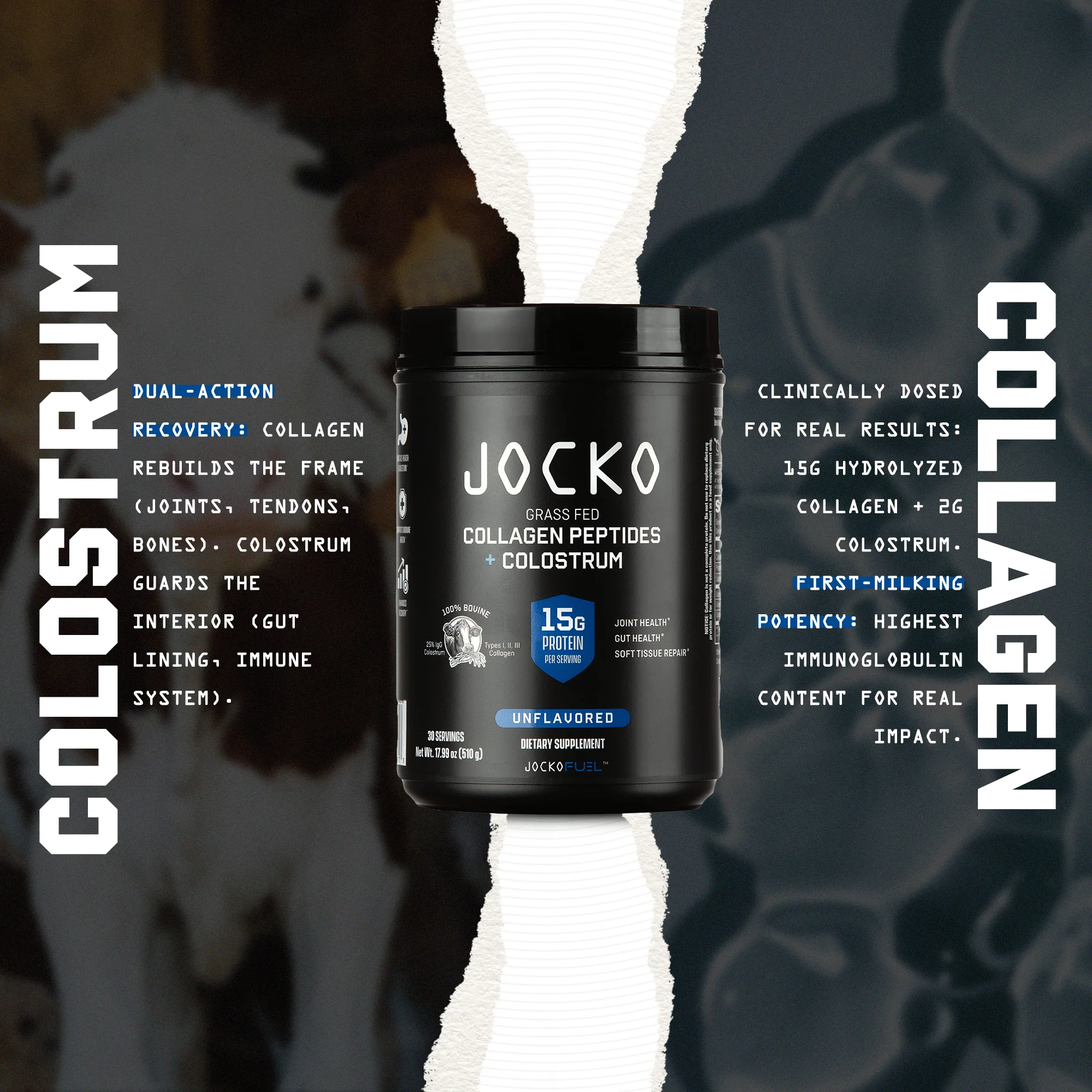 Jocko Collagen + Colostrum - Image 4