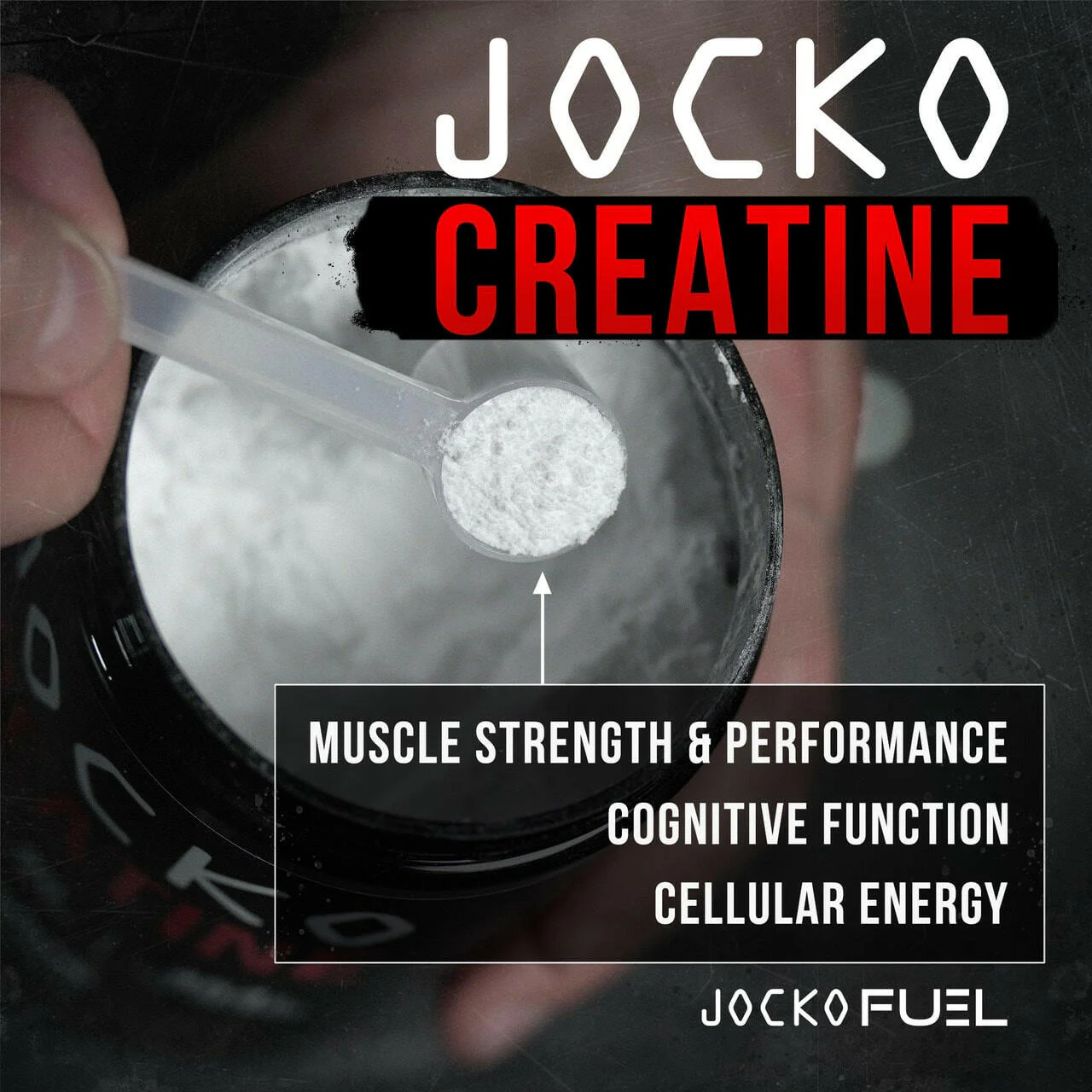 JOCKO CREATINE - Image 8